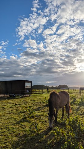 Hébergement AbracadaRoom : Tiny House La Cavalerie - Image 12