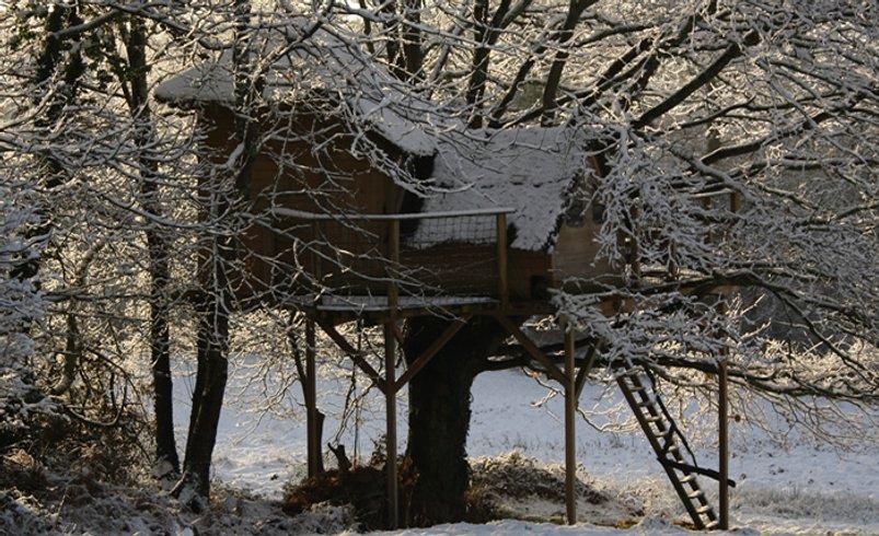 Hébergement AbracadaRoom : La Cabane perchée Heol - Image 7