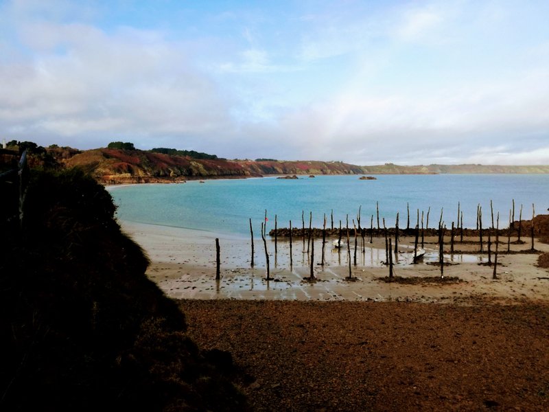 Domaine AbracadaRoom : Le Petit Gîte de Mag - Image 12