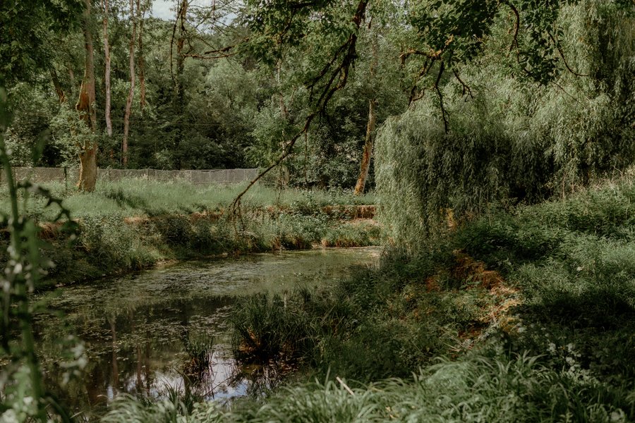 Domaine AbracadaRoom : Domaine de Neuville - Cabanes sur l'eau d'exception - Image 31