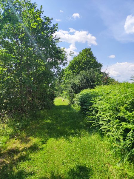 Domaine AbracadaRoom : La Roulotte Couzote - Image 1