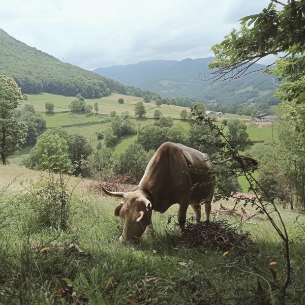 Domaine AbracadaRoom : Le Nez Dehors - Image 7