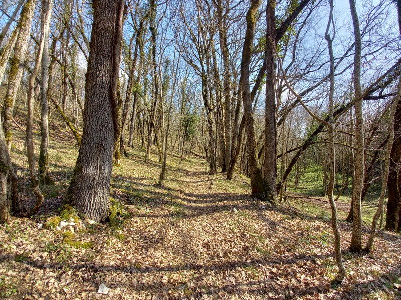 Domaine AbracadaRoom : Domaine de la Pierre Sèche - Image 11