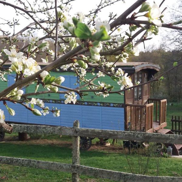 Hébergement AbracadaRoom : Fleur des Champs - Image 18