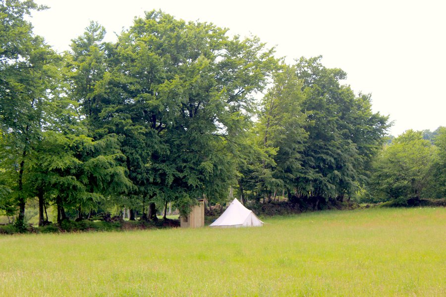 vue_ensemble_erable_green_tree_glamping