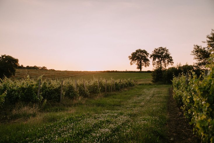 Hébergement AbracadaRoom : Villa Hakuna Matata - Image 6