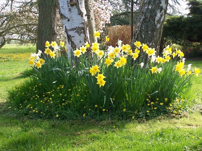 Domaine AbracadaRoom : Le Clos de la Risle - Image 9