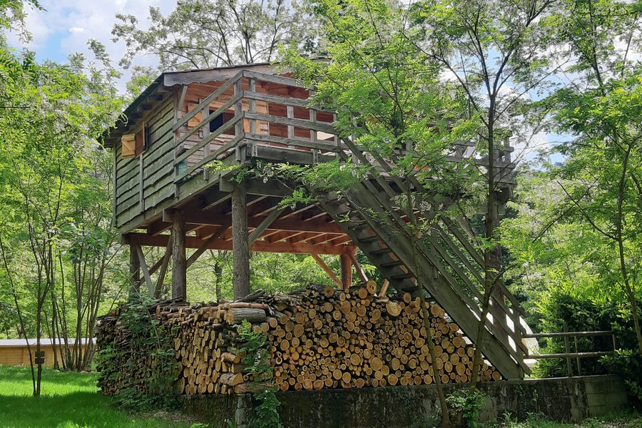 Cabane perchée & Spa — photo 2