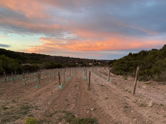 Domaine AbracadaRoom : Grotte romantique à FITOU - Image 9