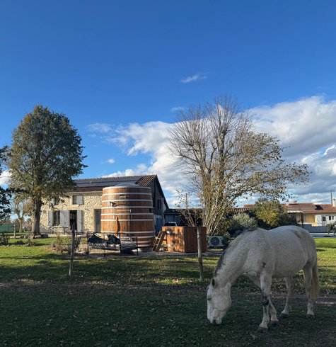 Hébergement AbracadaRoom : Le Foudre Talbot & spa privatif - Image 1