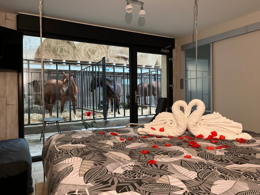 Suite 3 - 3 pers. terrasse avec des chevaux pour voisin de chambre à Fraisnes-En-Saintois (7)