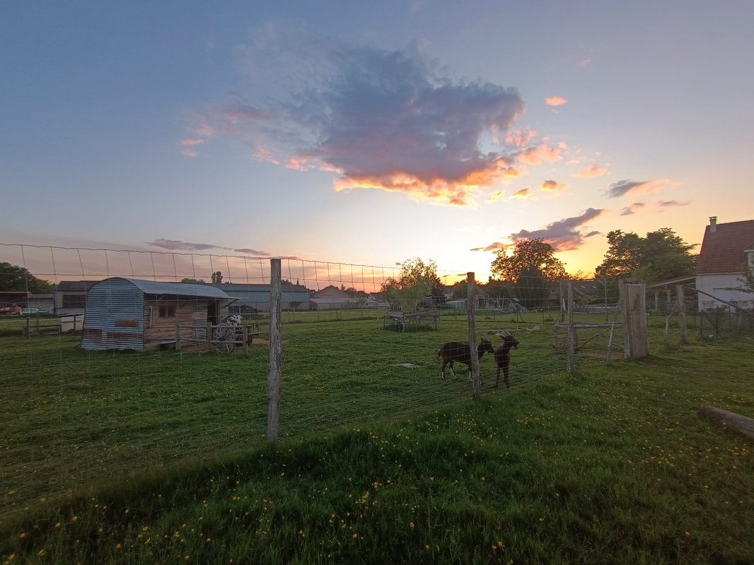 Expérience unique et insolite : Far West & Wallaby à Laperrière Sur Saone (18)