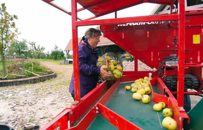 Domaine AbracadaRoom : Domaine des Essarts - Image 11