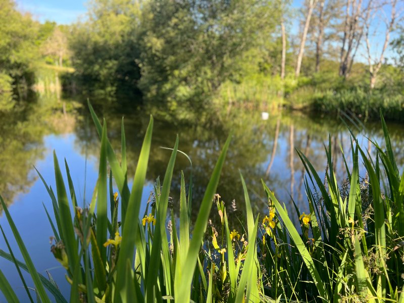 Domaine AbracadaRoom : Domaine de la Vergnolle - Image 9