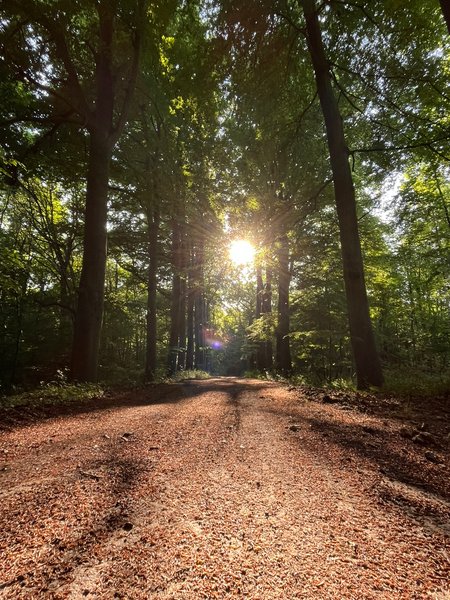 Hébergement AbracadaRoom : Soleil Royal - Image 8