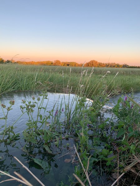 Domaine AbracadaRoom : Mon Lodge en Provence - Image 8