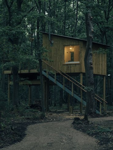 Domaine AbracadaRoom : Youza Ecolodge - Image 2