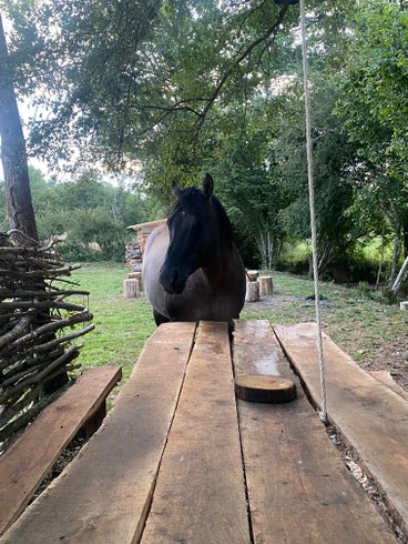 Hébergement AbracadaRoom : Tipi Lakota - Image 12