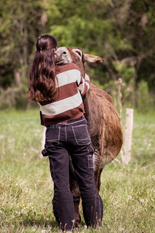 Chalet Estive au cœur de la ferme à Saint Ybars (14)