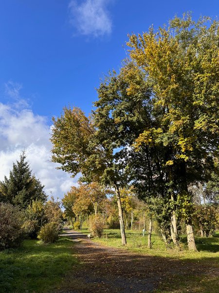 Domaine AbracadaRoom : Au Vieux Moulin - Image 5