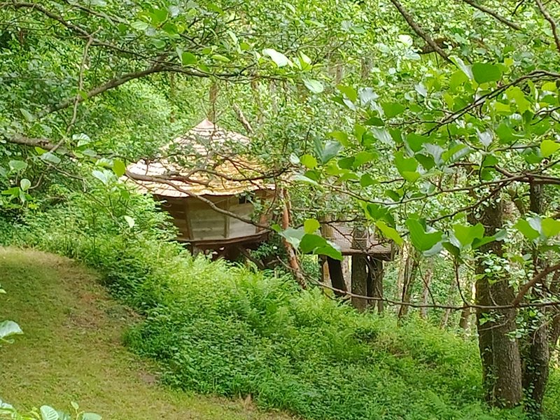 Hébergement AbracadaRoom : la Cabane le Petit Toit du Monde - Image 2