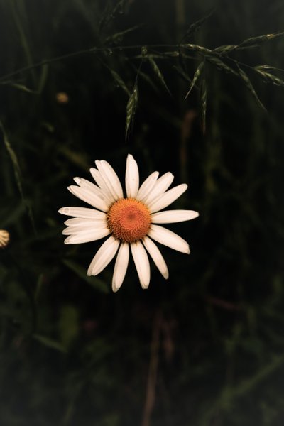 Hébergement AbracadaRoom : K-hute 4 & Bain nordique - Image 18