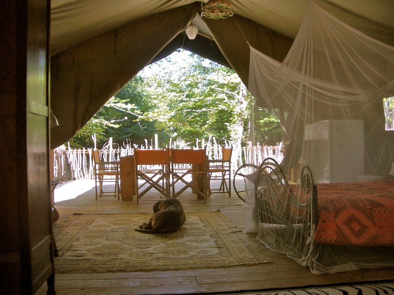 Hébergement AbracadaRoom : Tente Safari 2 people - Image 9