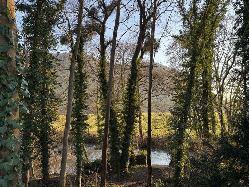 Domaine AbracadaRoom : L'île Merveilleuse - Image 6