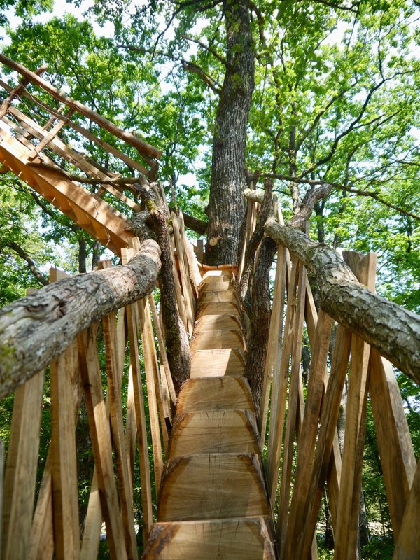 cabane arbramane