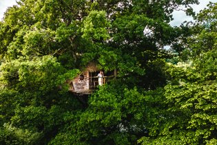 Cabane dans les arbres Haute-Saône