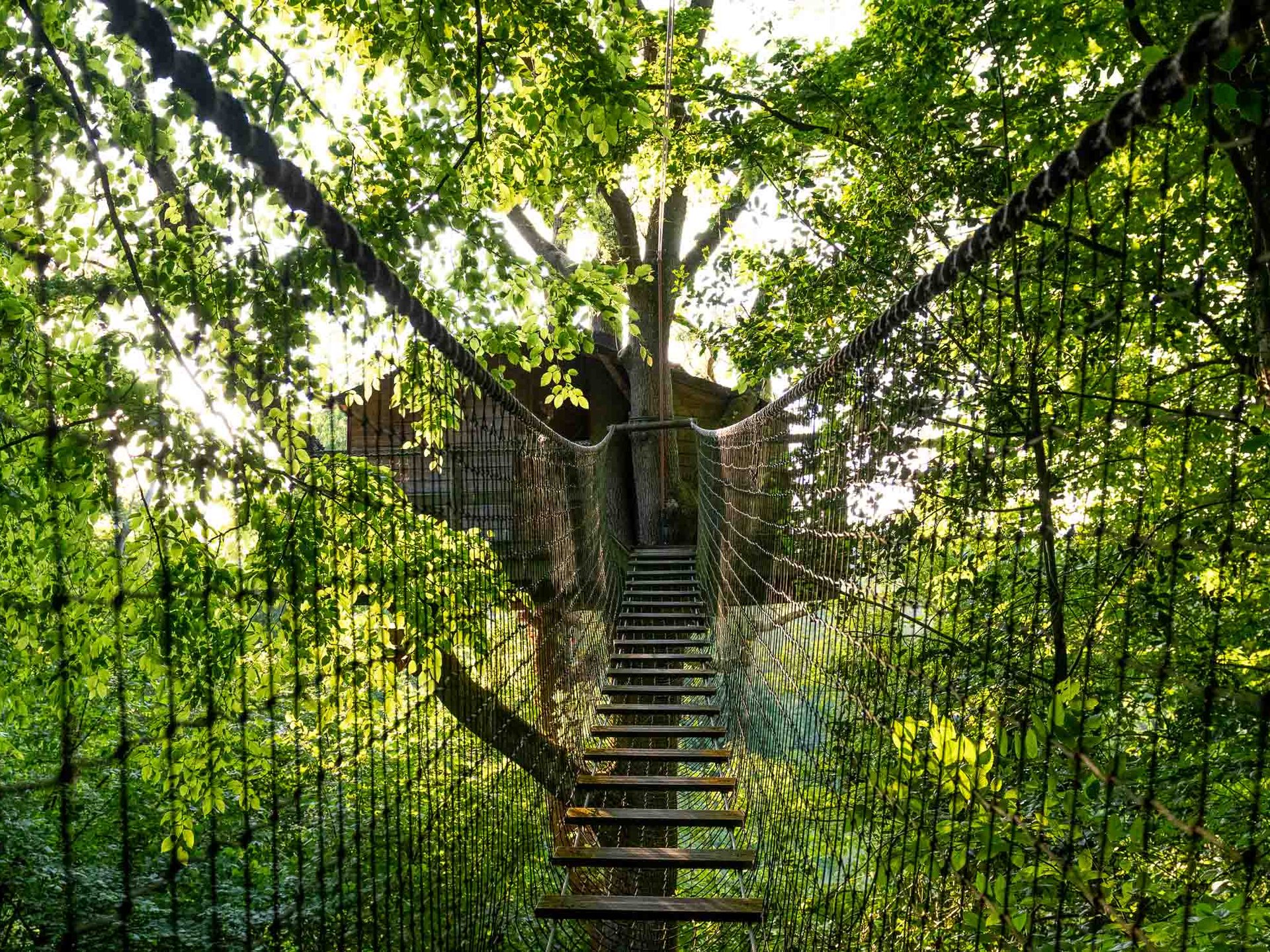 Cabane Rossignol