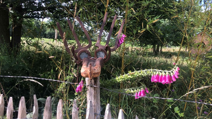 Domaine AbracadaRoom : O z'insolites - Image 5