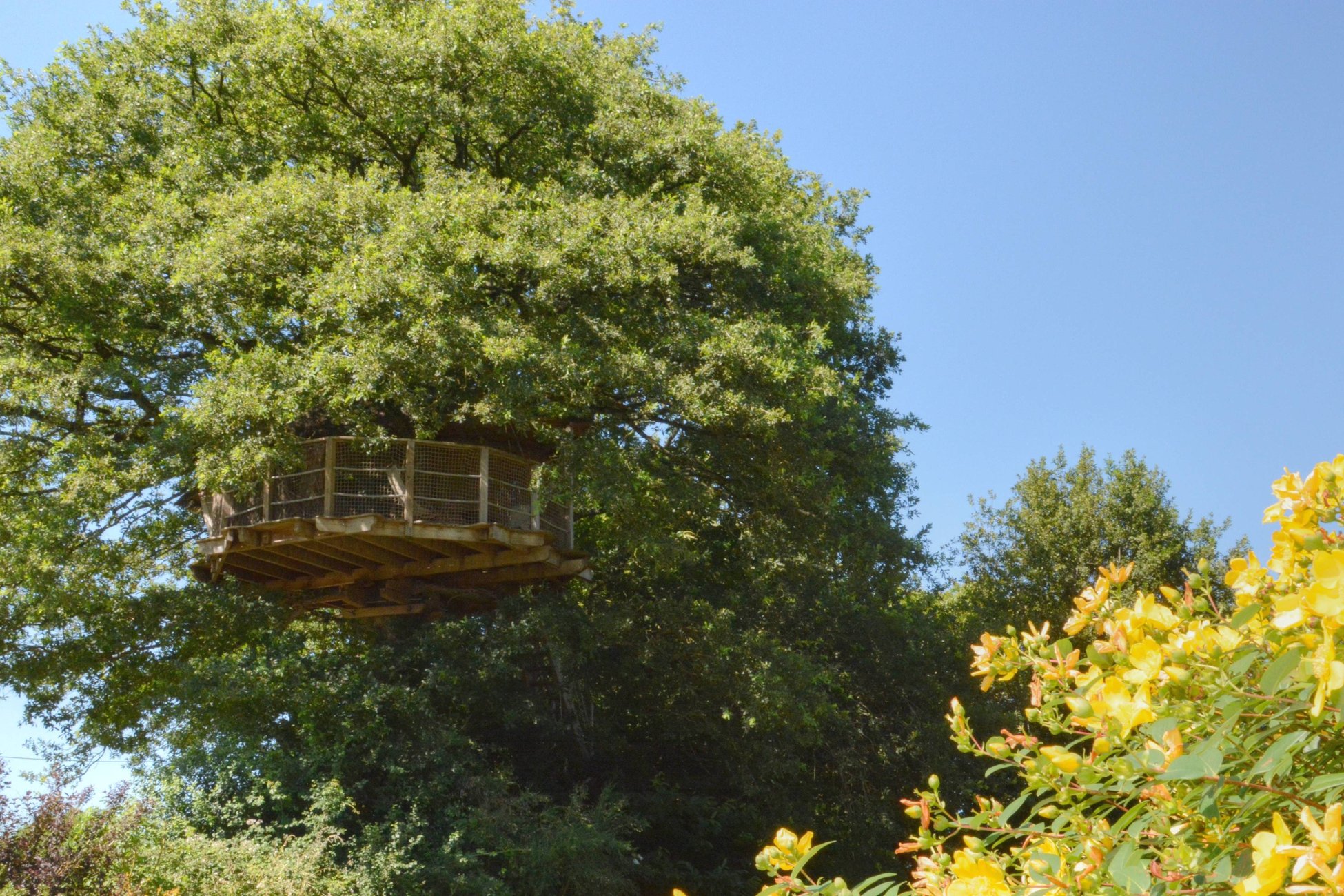 Hébergement UnicStay : Cabane Girsberg à La Baconnière