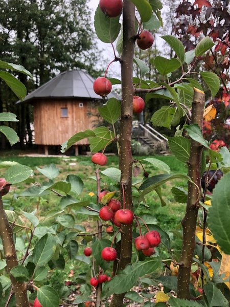 Hébergement AbracadaRoom : Le P'tiot Utau - Image 7