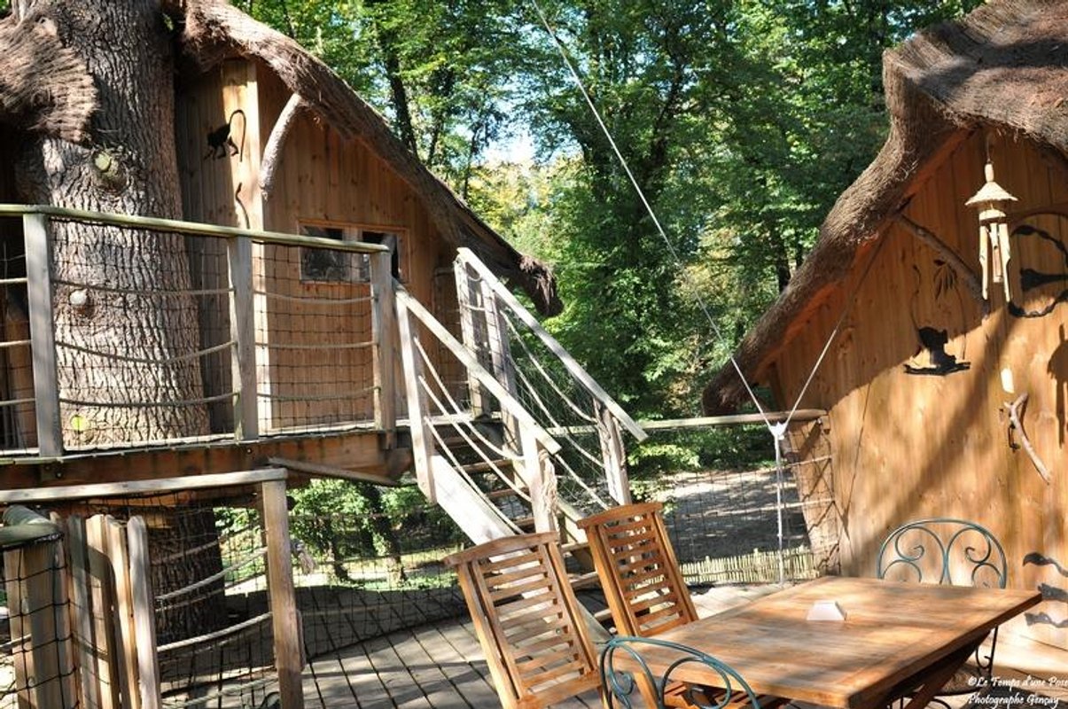 escalier-ouistitis-cabane-belle