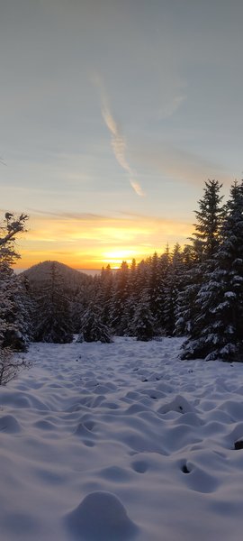 Hébergement AbracadaRoom : Bulle de Bois & Spa - Image 23