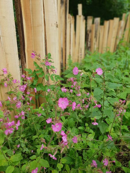 Domaine AbracadaRoom : Domaine du Moulin de Trimeule - Image 15