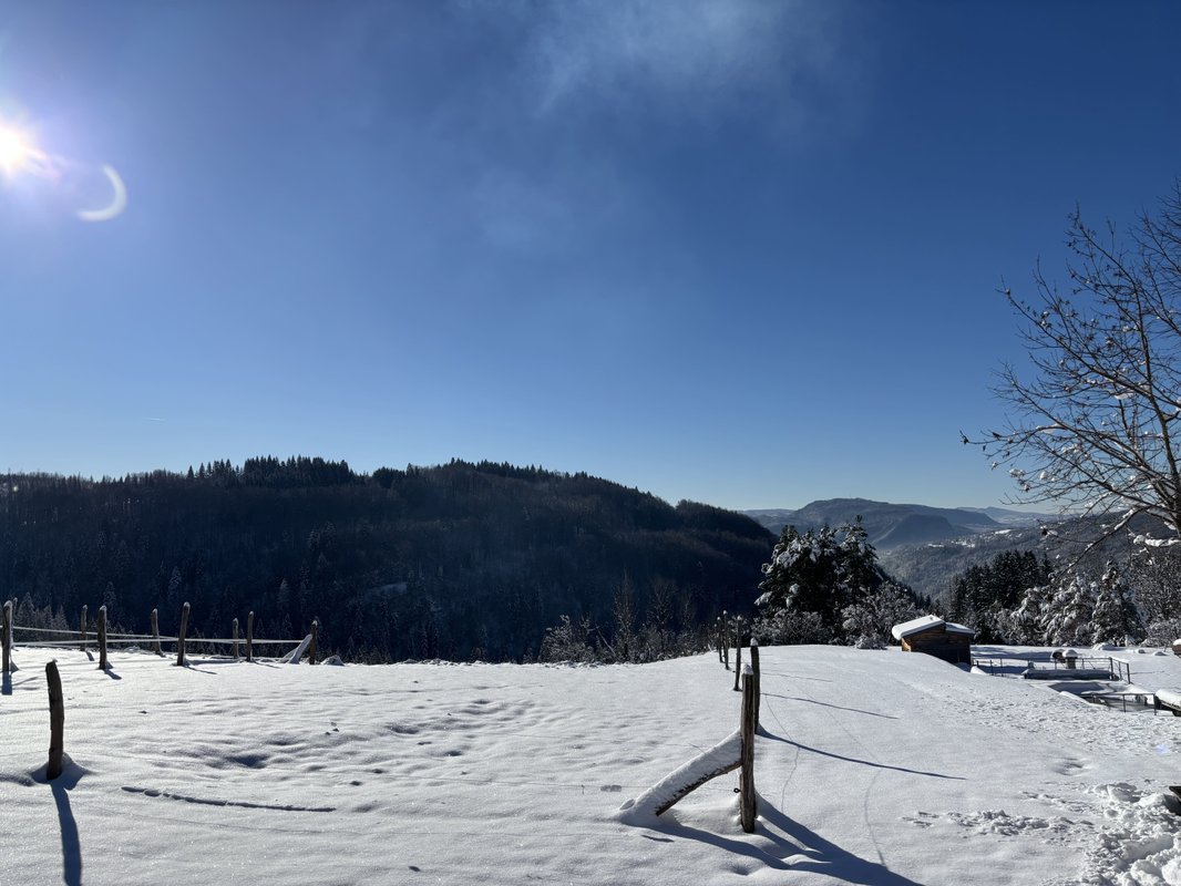 Tiny house Athena & Spa à St Claude (42)