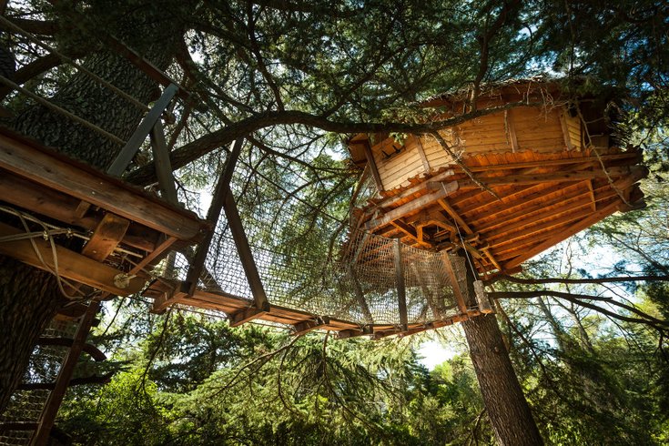 Hébergement AbracadaRoom : Grand duc - Image 2