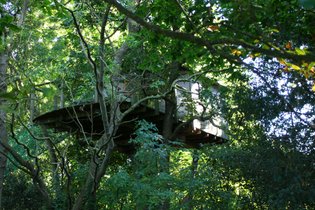 Treehouse Côtes-d'Armor