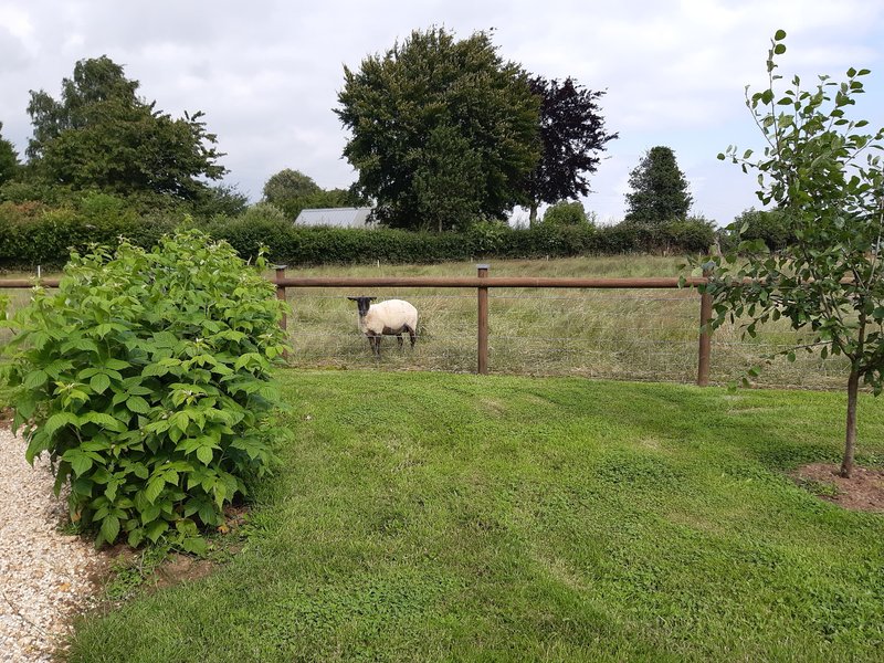 Domaine AbracadaRoom : L'insolit Ô Verger - Image 9