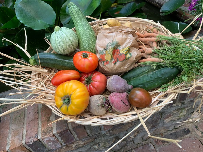 Domaine AbracadaRoom : Caraferme et compagnie - Image 25