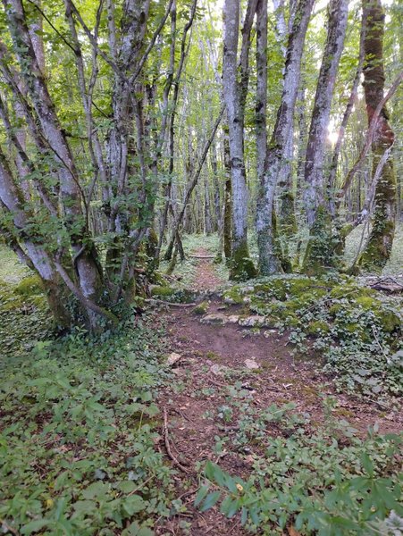 Domaine AbracadaRoom : Mini Maison - Image 4