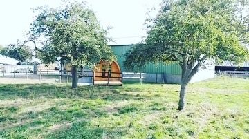 Hébergement AbracadaRoom : Au Pré des Alizés - Hébergement insolite à la ferme - Image 10