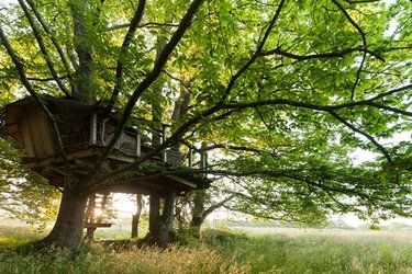 La Cabane perchée Folenn à Ploemel (3)