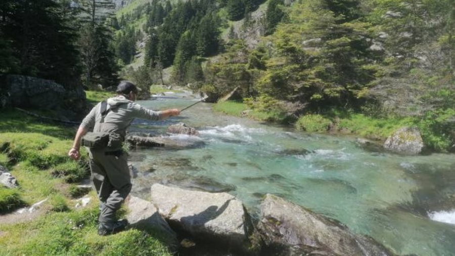 Hébergement AbracadaRoom : Yourte Pyrénées -  bassin naturel avec cascade - Image 14