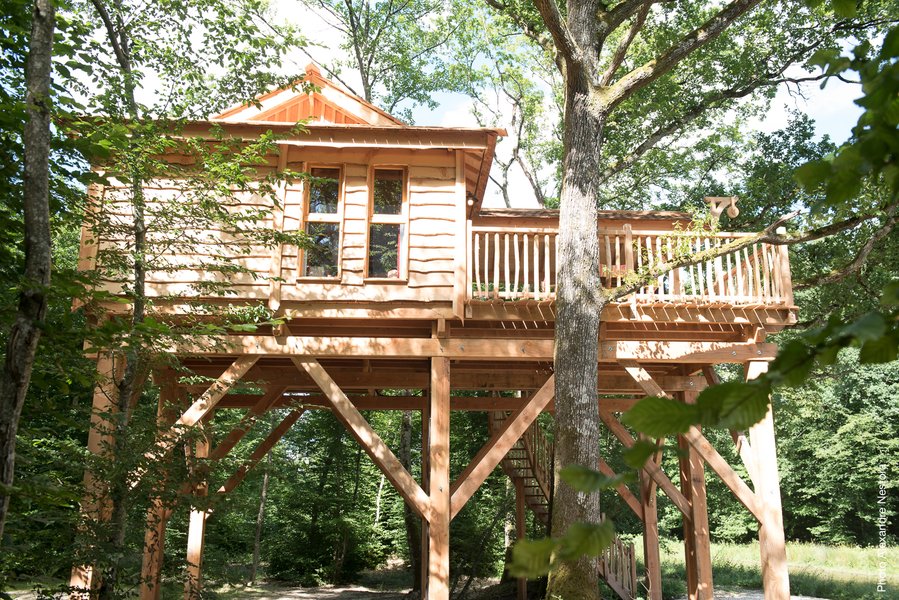vue arrière-cabane dans les arbres-séjour insolite en famille-centre-abracadaroom