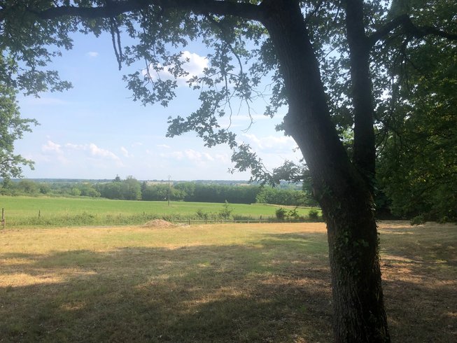 Domaine AbracadaRoom : Le Jardin Des Cabanes - Image 8