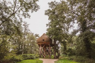 Cabane dans les arbres Haute-Saône
