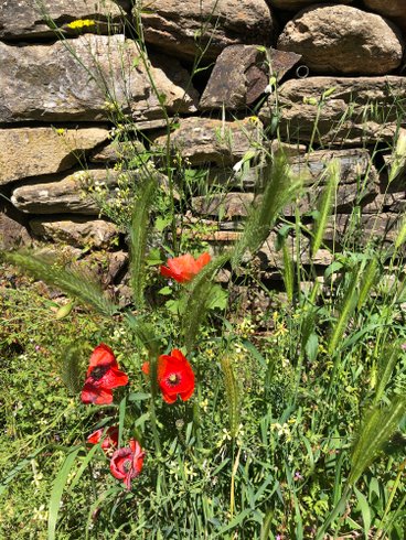 Hébergement AbracadaRoom : Le luxe champêtre d'un Géodôme en châtaignier - Image 4